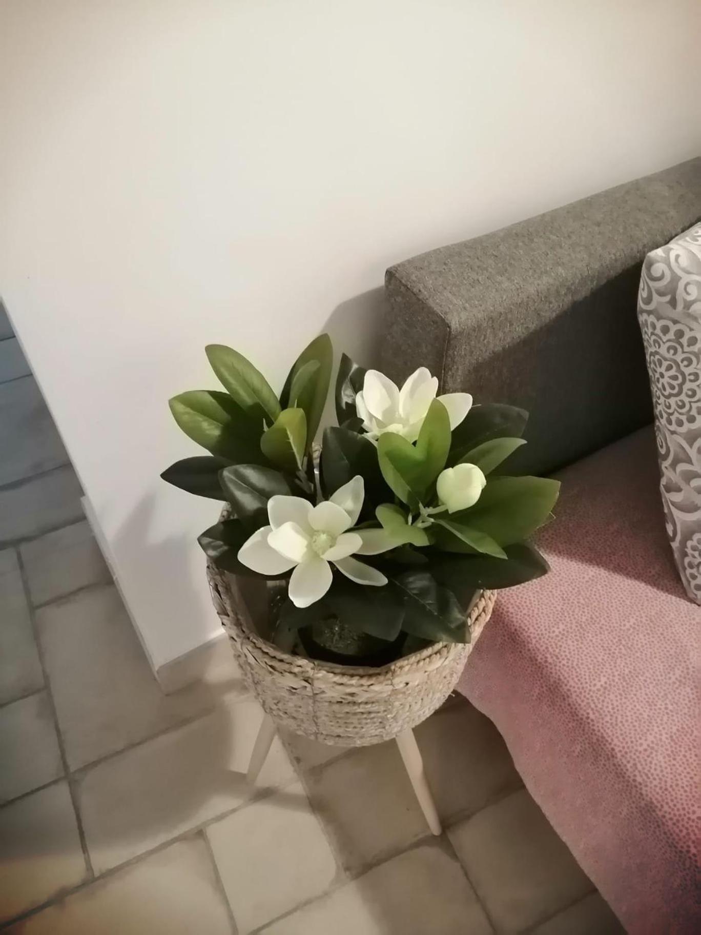 Appartement Il Vicoletto Sul Castello à Naples Extérieur photo